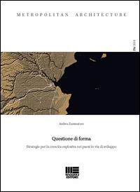 Questione di forma. Strategie per la crescita esplosiva nei paesi in via di sviluppo - Andrea Zammataro - copertina