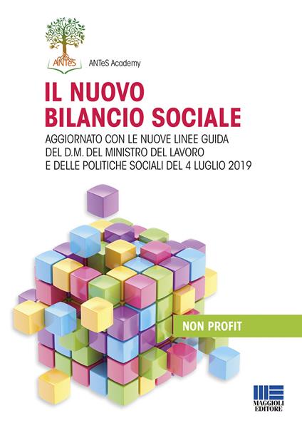 Il nuovo bilancio sociale. Aggiornato con le nuove linee guida del d.m. del ministro del lavoro e delle politiche sociali del 4 luglio 2019 - copertina