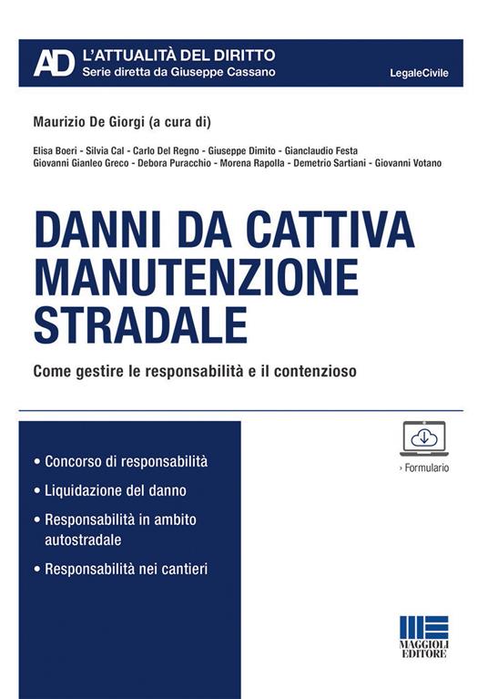 Danni da cattiva manutenzione stradale - copertina