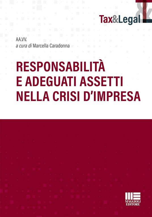 Responsabilità e adeguati assetti nella crisi d'impresa - copertina