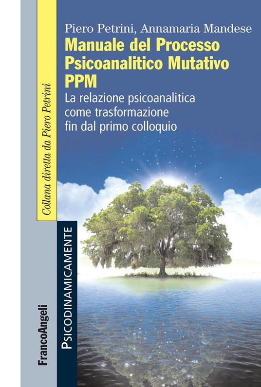 Manuale del Processo Psicoanalitico Mutativo PPM. La relazione psicoanalitica come trasformazione fin dal primo colloquio - Annamaria Mandese,Piero Petrini - ebook