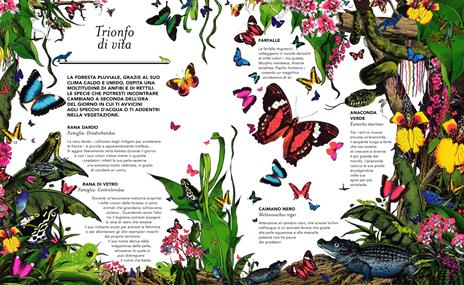 Il giardino delle meraviglie. Esplora 5 habitat e scopri 50 fantastici animali. Ediz. illustrata - Kristjana S. Williams,Jenny Broom - 3
