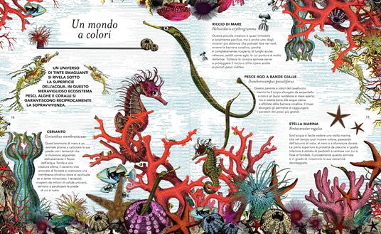 Il giardino delle meraviglie. Esplora 5 habitat e scopri 50 fantastici animali. Ediz. illustrata - Kristjana S. Williams,Jenny Broom - 4