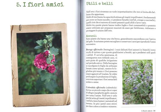 Più orto che giardino. Come coltivare verdure felici e fiori gentili - Simonetta Chiarugi,Camilla Zanarotti - 4