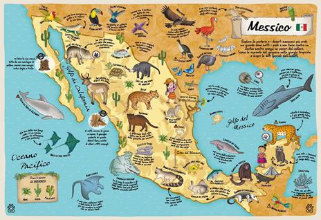 Mappe degli animali. Un viaggio per esplorare creature di terra, acqua e aria - Paola Grimaldi,Febe Sillani - 3