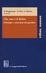 Che cosa è il diritto. Ontologie e concezioni del giuridico