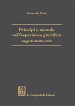 Principi e metodo nell'esperienza giuridica. Saggi di diritto civile