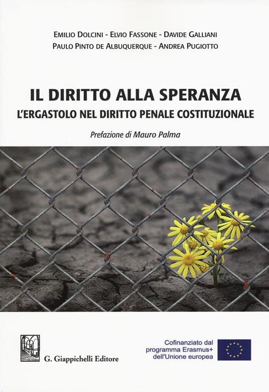 Il diritto alla speranza. L'ergastolo nel diritto penale costituzionale - Emilio Dolcini,Elvio Fassone,Davide Galliani - copertina