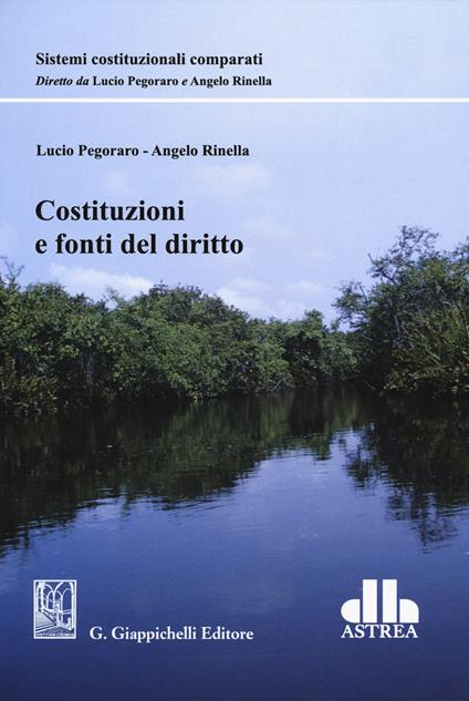 Costituzioni e fonti del diritto - Lucio Pegoraro,Angelo Rinella - copertina