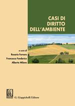 Casi di diritto dell'ambiente