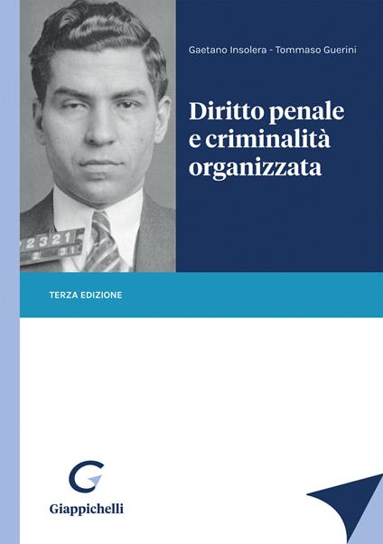 Diritto penale e criminalità organizzata - Gaetano Insolera,Tommaso Guerini - copertina