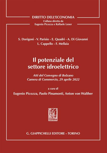 Il potenziale del settore idroelettrico. Atti del Convegno di Bolzano 29 aprile 2022 tenutosi presso la Camera di Commercio, Industria, Artigianato e Agricoltura di Bolzano - copertina