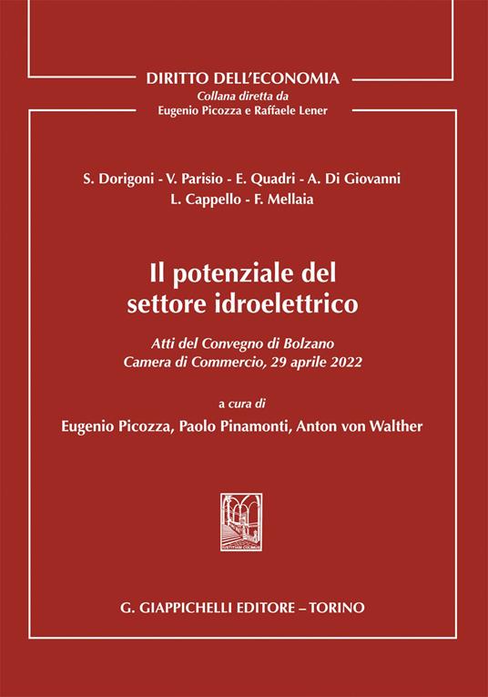 Il potenziale del settore idroelettrico. Atti del Convegno di Bolzano 29 aprile 2022 tenutosi presso la Camera di Commercio, Industria, Artigianato e Agricoltura di Bolzano - copertina