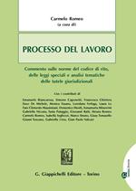 Processo del lavoro