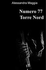 Numero 77 Torre Nord