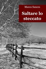 Saltare lo steccato