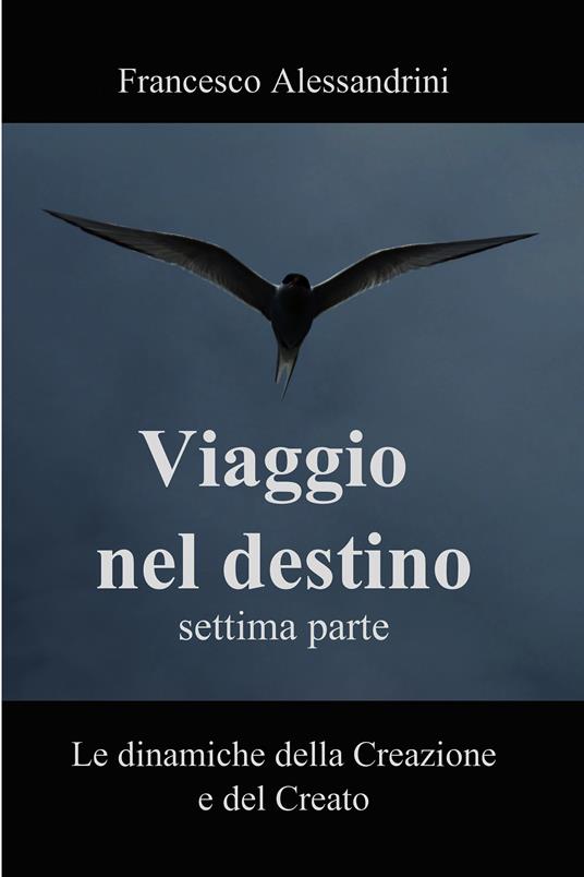 Viaggio nel destino. Vol. 7 - Francesco Alessandrini - ebook