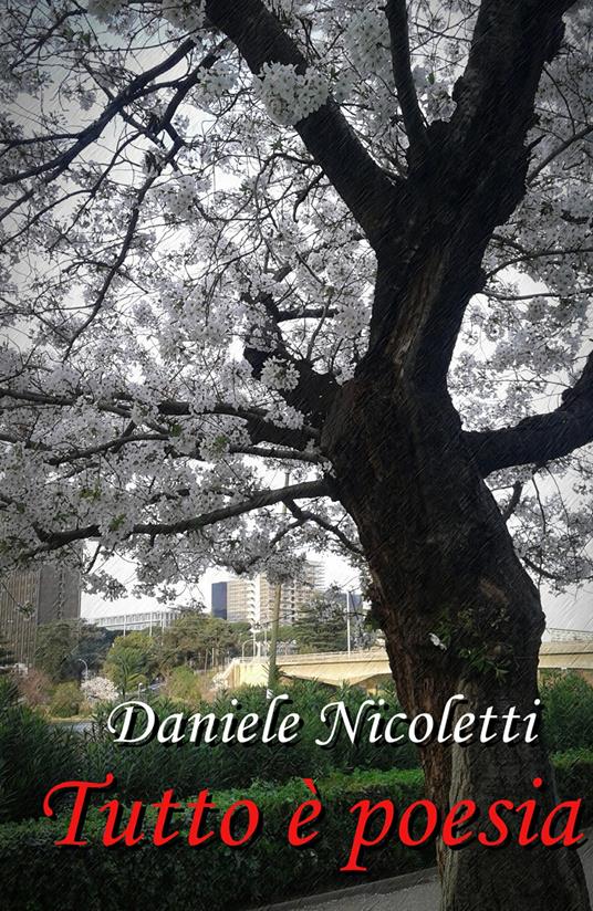 Tutto è poesia - Daniele Nicoletti - copertina