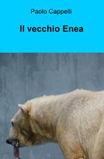 Il vecchio Enea