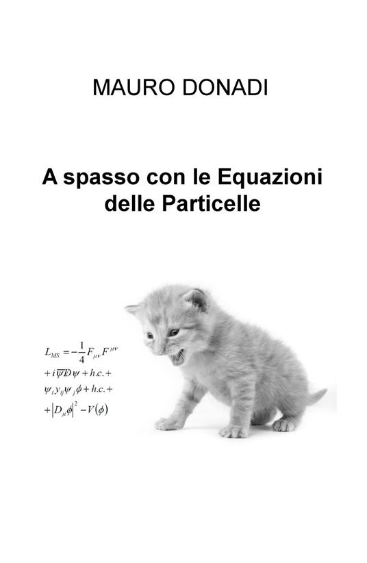 A spasso con le equazioni delle particelle - Mauro Donadi - copertina