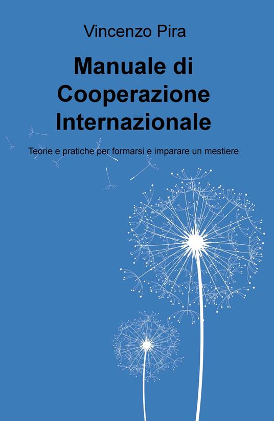 Manuale di cooperazione Internazionale. Teorie e pratiche per formarsi e imparare un mestiere - Vincenzo Pira - copertina