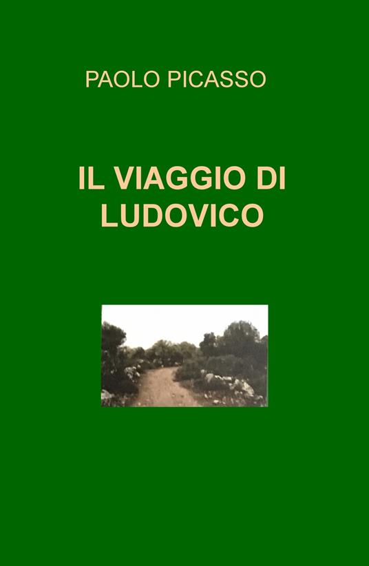 Il viaggio di Ludovico - Paolo Picasso - copertina