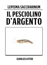 Il pesciolino d'argento Ctenolepisma longicaudata