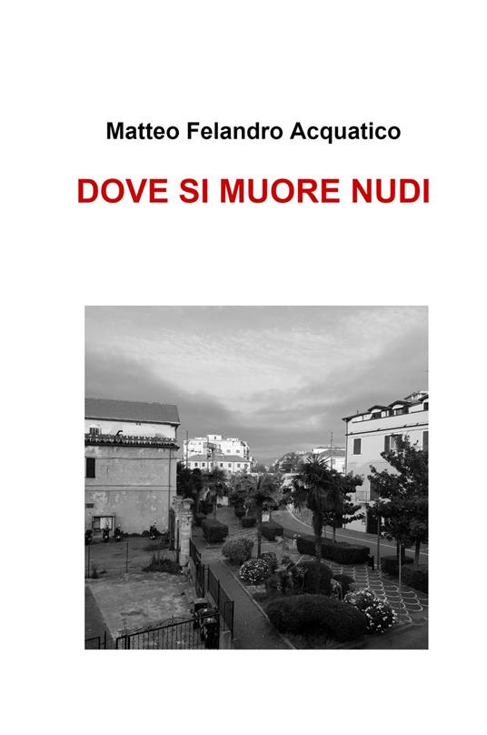 Dove si muore nudi - Matteo Felandro Acquatico - copertina