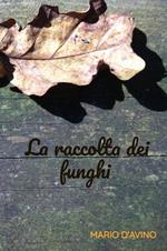 La raccolta dei funghi