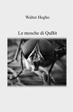 Le mosche di QuBit