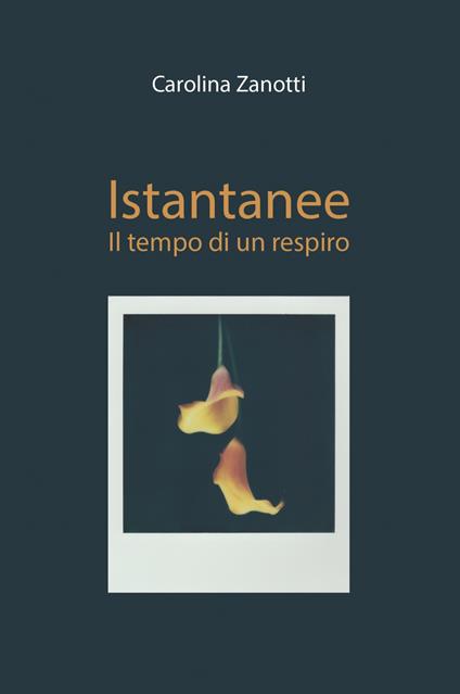 Istantanee. Il tempo di un respiro - Carolina Zanotti - copertina