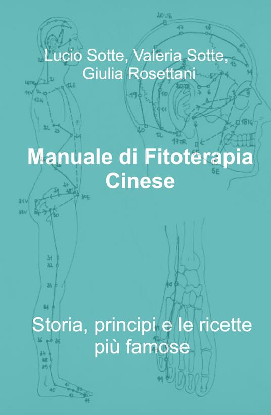 Manuale di fitoterapia cinese. Storia, principi e le ricette più famose - Lucio Sotte - copertina