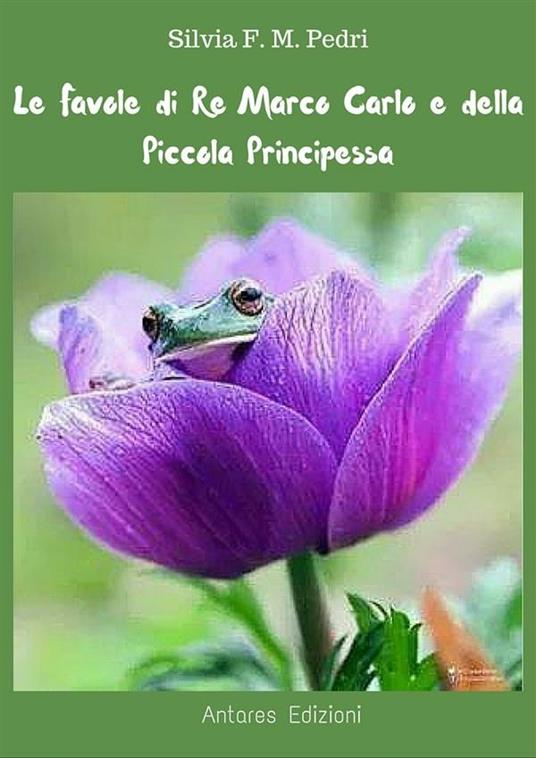 Favole di Re Marco Carlo e della Piccola Principessa - Silvia F. M. Pedri - ebook