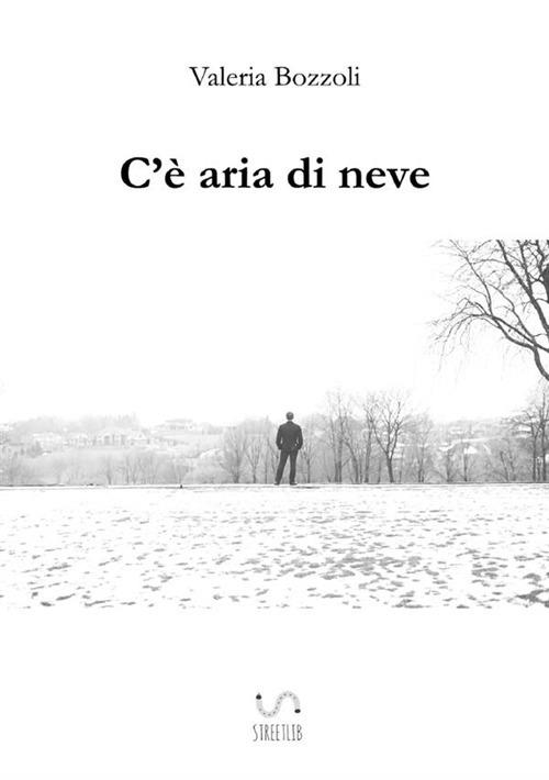 C'è aria di neve - Valeria Bozzoli - copertina