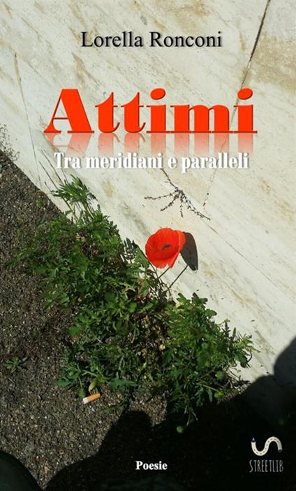 Attimi. Tra meridiani e paralleli - Lorella Ronconi - copertina