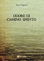 Odore di camino spento