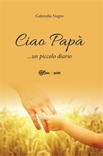 Ciao papà... un piccolo diario