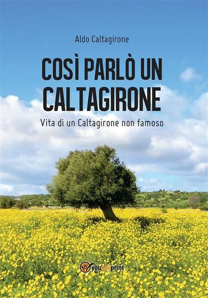 Così parlò un Caltagirone - Aldo Caltagirone - ebook