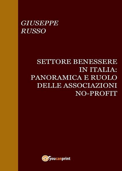 Settore benessere in Italia. Panoramica e ruolo delle associazioni no-profit e del loro bilancio - Giuseppe Russo - copertina