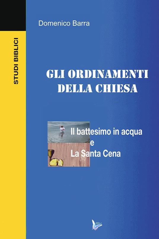 Gli ordinamenti della Chiesa - Domenico Barra - copertina