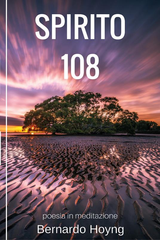 Spirito 108 - Bernardo Hoyng - copertina