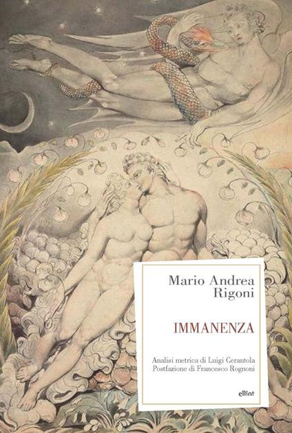 Immanenza - Mario Andrea Rigoni - copertina