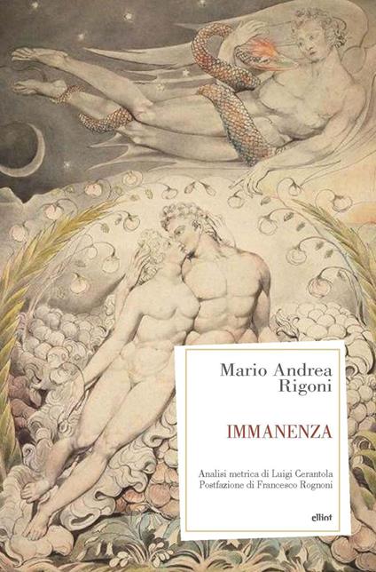 Immanenza - Mario Andrea Rigoni - ebook