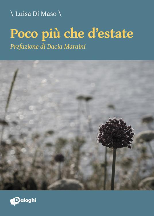 Poco più che d'estate - Luisa Di Maso - copertina