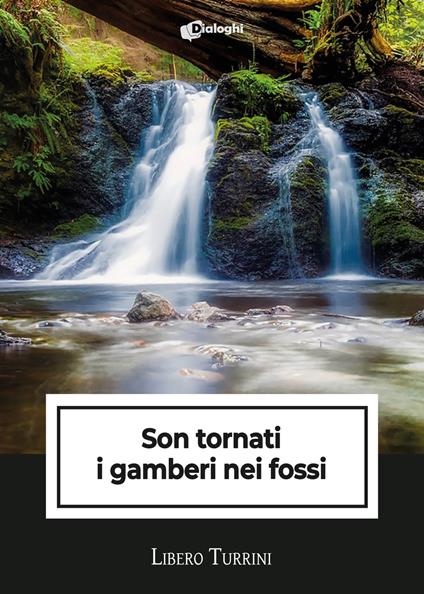 Son tornati i gamberi nei fossi - Libero Turrini - copertina