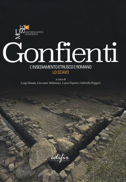 Gonfienti. L'insediamento etrusco e romano. Lo scavo. Ediz. illustrata - copertina