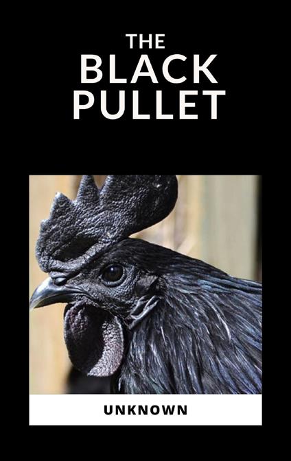 The Black Pullet