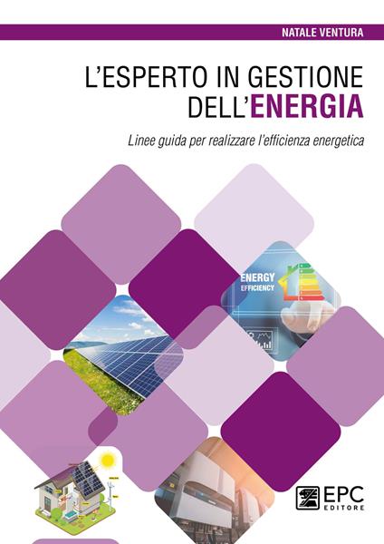 L'esperto in gestione dell’energia. Linee guida per realizzare l’efficienza energetica - Natale Ventura - copertina