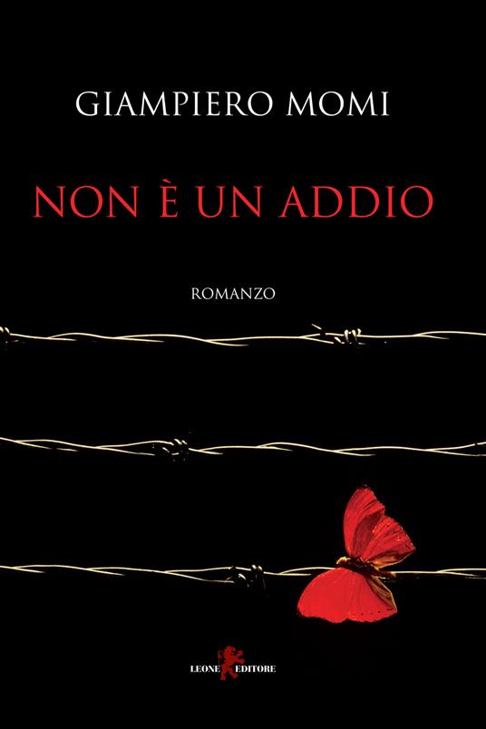 Non è un addio - Giampiero Momi - copertina