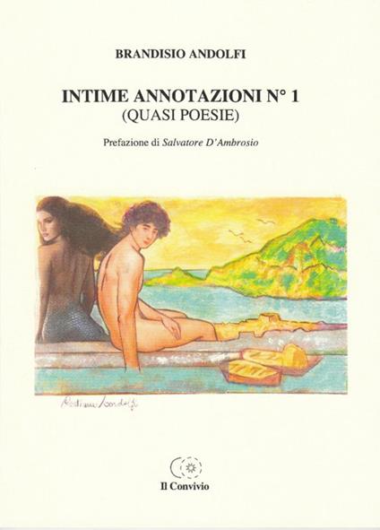 Intime annotazioni n°1 (quasi poesie) - Brandisio Andolfi - copertina